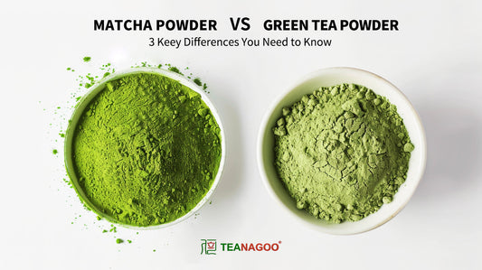 Matcha vs. Green Tea Powder: 3 Key Differences You Need to Know