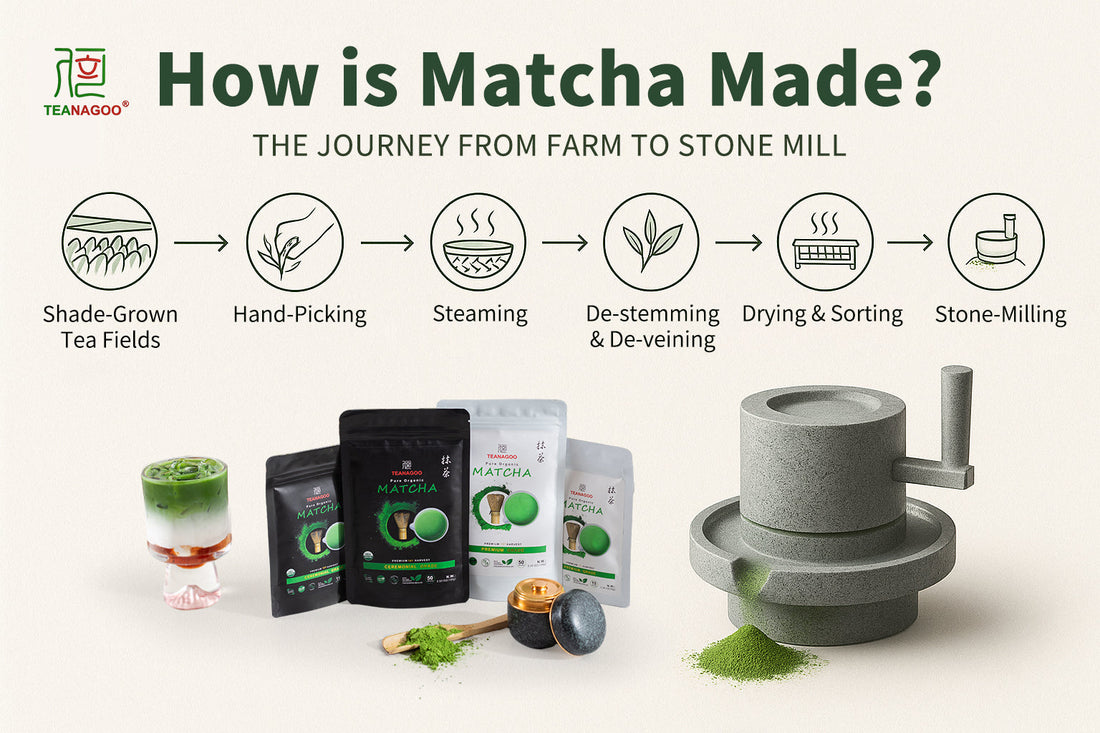 How is Matcha Made? The Journey from Farm to Stone Mill